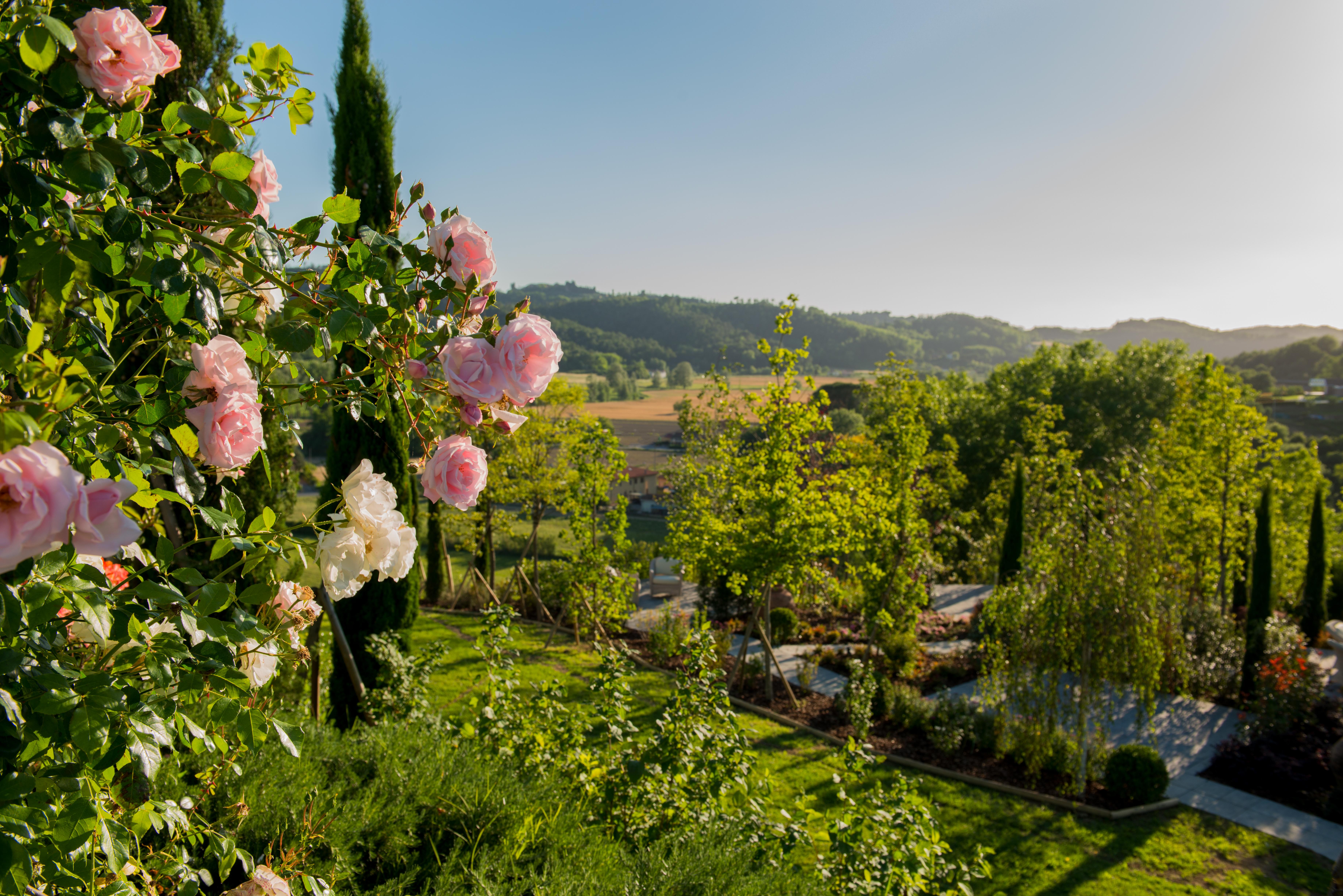 Relais Sassa Al Sole Hotell San Miniato Eksteriør bilde